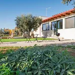 Corbezzolo *